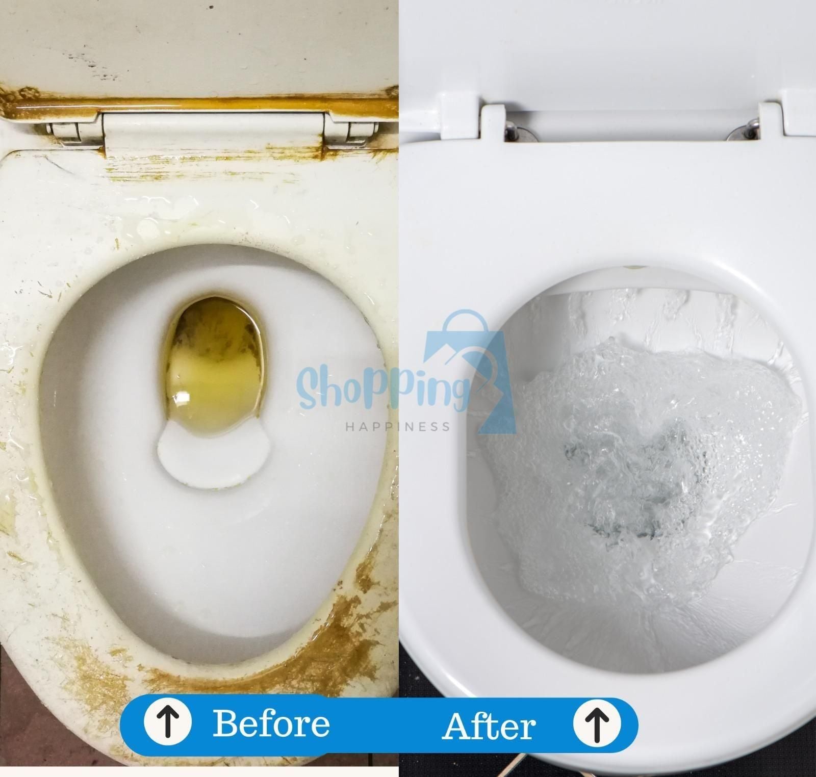 Toilet Cleaning Agent 100 gm (Pack of 2) - Shopsmart9