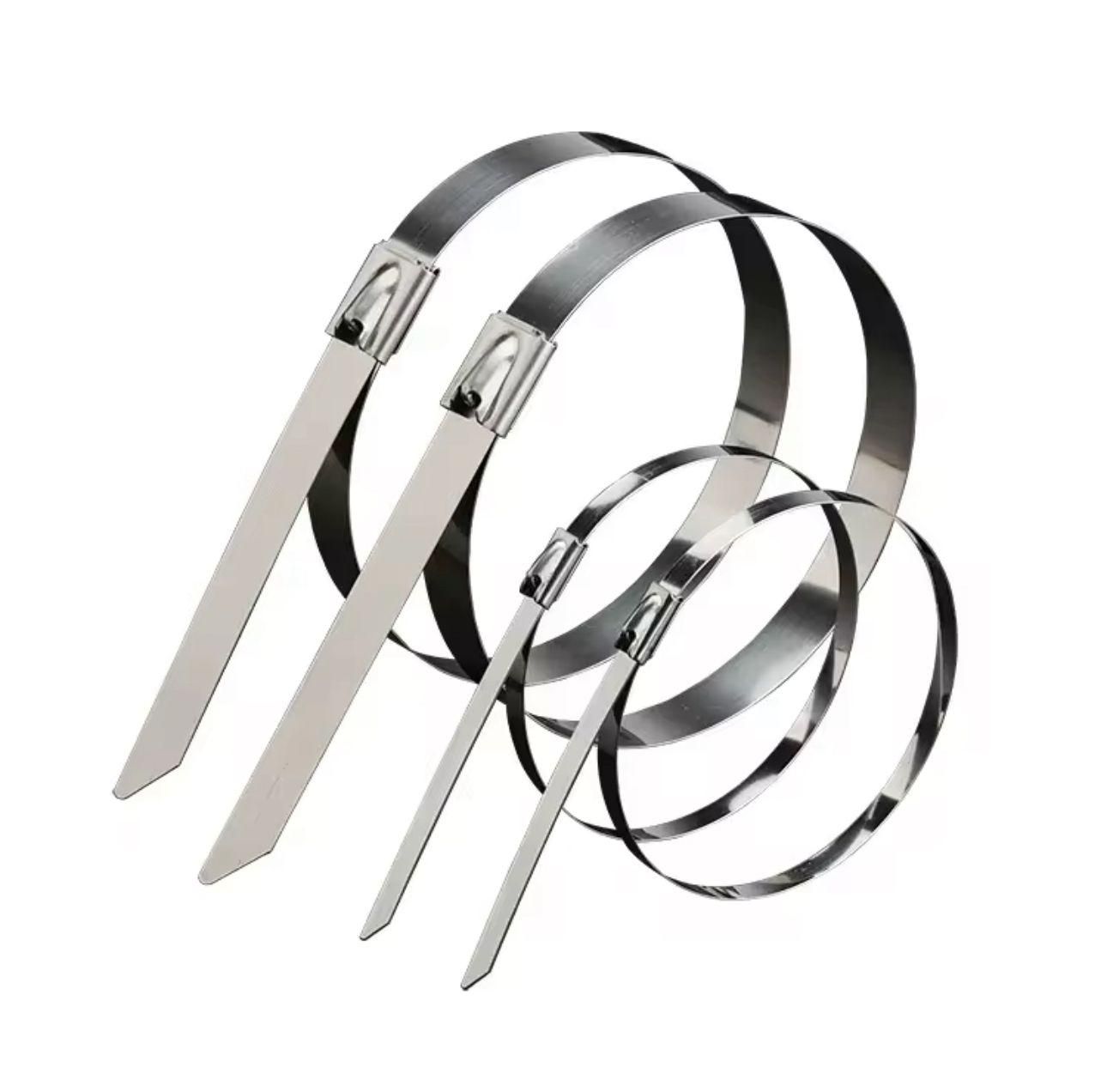 Stainless Steel Cabe Lock Ties (Pack of 10) - Shopsmart9