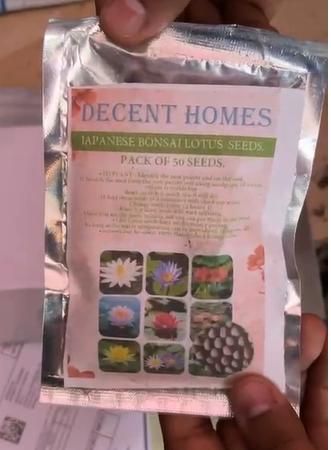 20 Pcs Japanese Bonsai Lotus Seeds - Shopsmart9