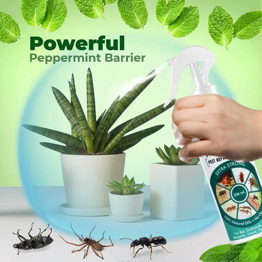 All In Pest Repellent Spray (250ml) - Shopsmart9
