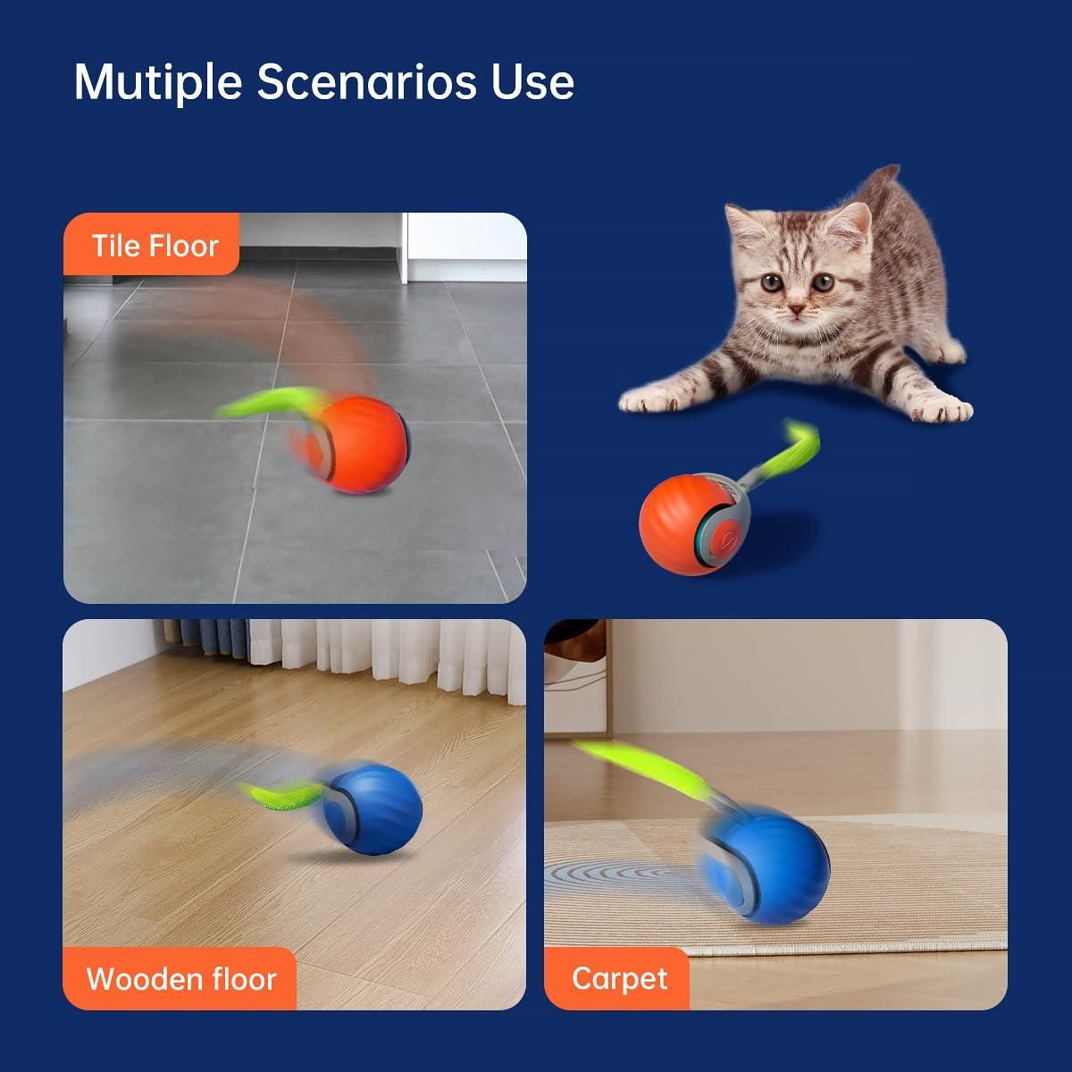 Rolling Ball Cat Toy - Shopsmart9